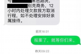 潜山潜山的要账公司在催收过程中的策略和技巧有哪些？